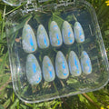 press on nails - dreamy blue & white garden